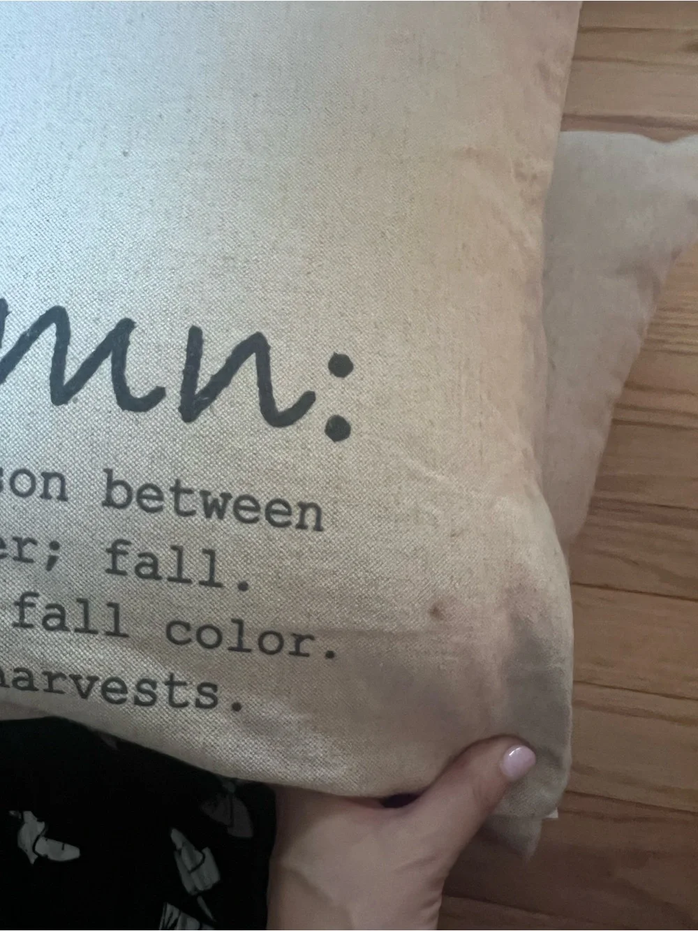 Autumn Decorative Throw Pillow Pair - Neutral Linen Text Print